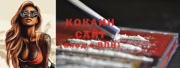 гидра Карпинск