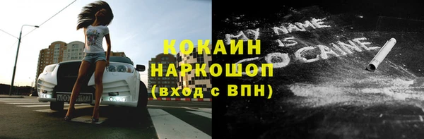 гидра Карпинск