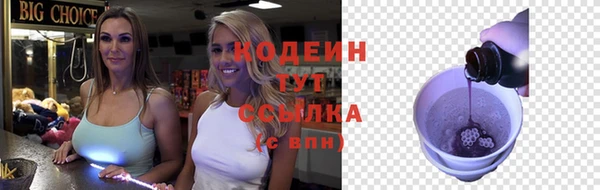 гидра Карпинск