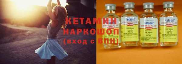 гидра Карпинск
