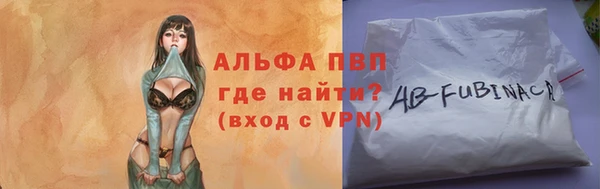 гидра Карпинск