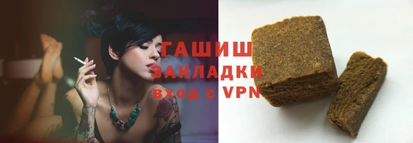 гидра Карпинск