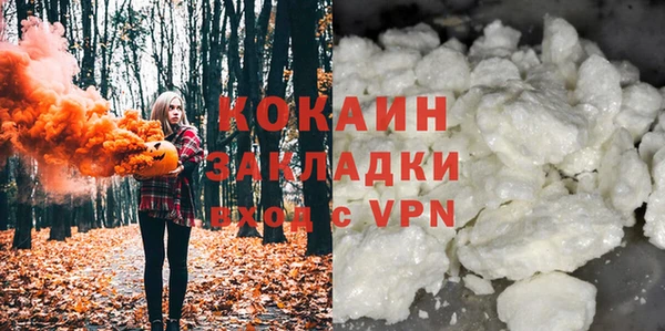 гидра Карпинск