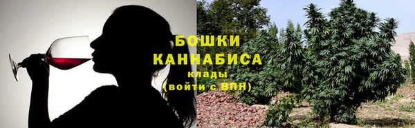 гидра Карпинск