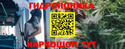 ALPHA-PVP Гатчина